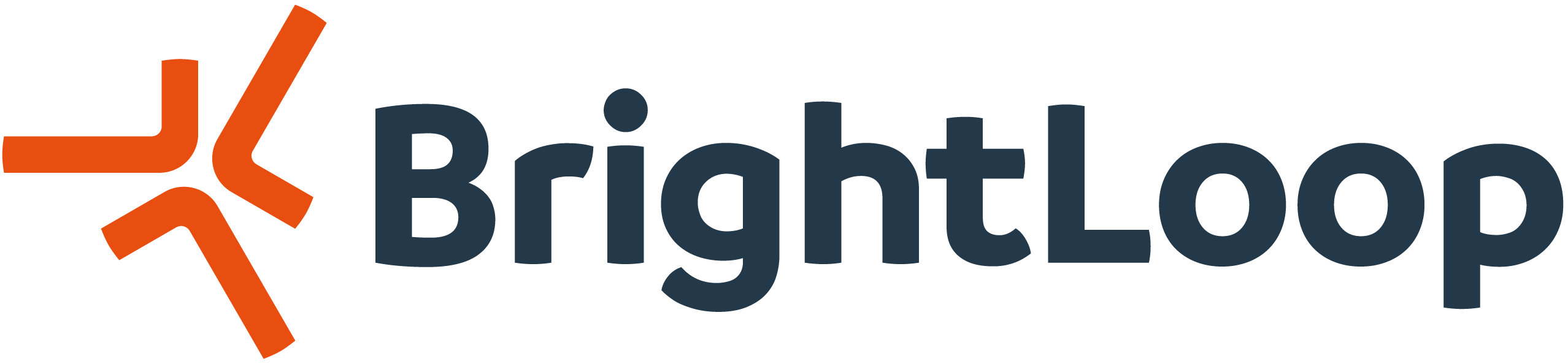 3 brightloop